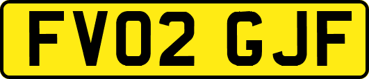 FV02GJF