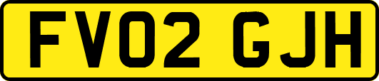 FV02GJH