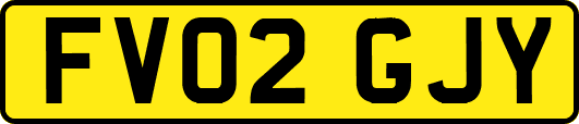 FV02GJY