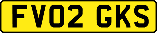 FV02GKS