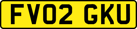 FV02GKU