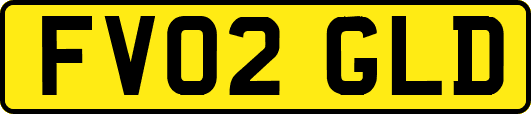 FV02GLD