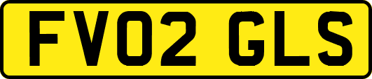 FV02GLS