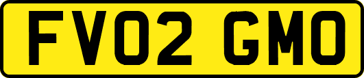 FV02GMO