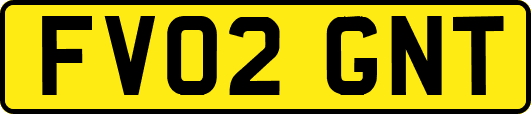 FV02GNT