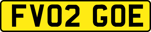 FV02GOE