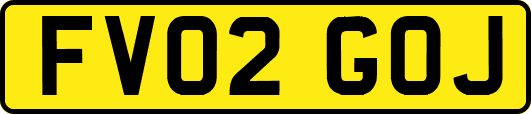 FV02GOJ