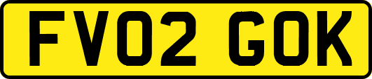 FV02GOK