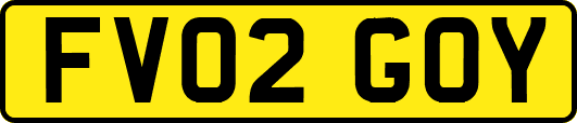 FV02GOY