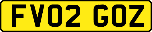 FV02GOZ
