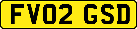 FV02GSD