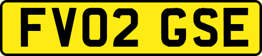 FV02GSE