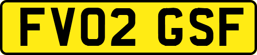 FV02GSF