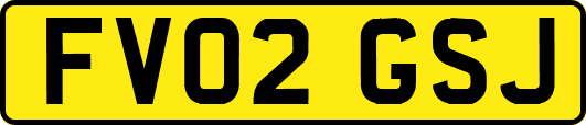 FV02GSJ