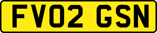 FV02GSN