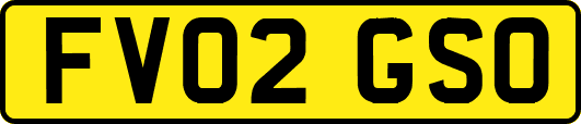 FV02GSO
