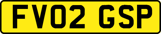 FV02GSP