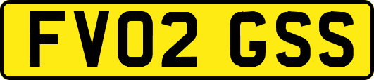FV02GSS