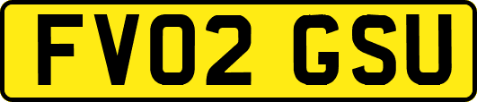 FV02GSU