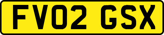 FV02GSX