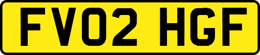 FV02HGF