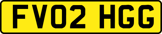 FV02HGG