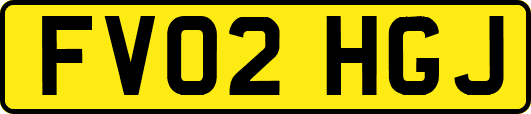 FV02HGJ