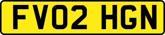 FV02HGN