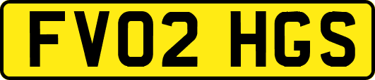 FV02HGS