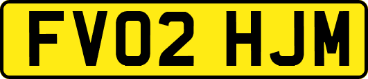FV02HJM