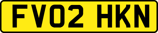 FV02HKN