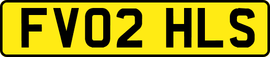 FV02HLS