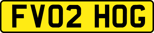 FV02HOG