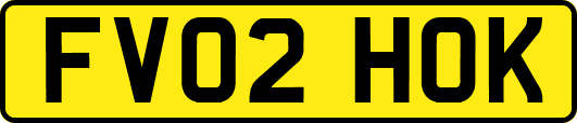 FV02HOK