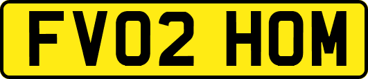 FV02HOM