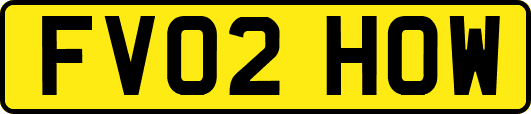 FV02HOW