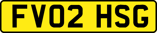 FV02HSG