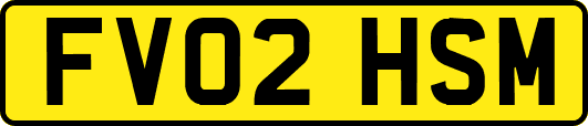 FV02HSM