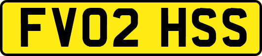 FV02HSS