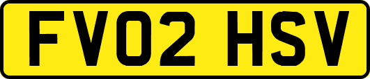 FV02HSV