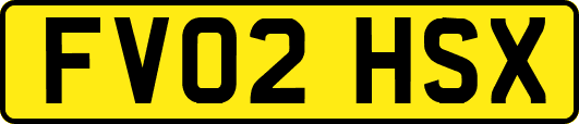 FV02HSX
