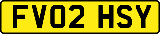 FV02HSY
