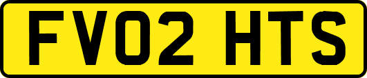 FV02HTS