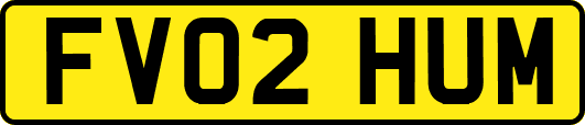 FV02HUM