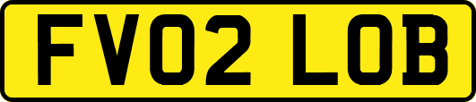 FV02LOB