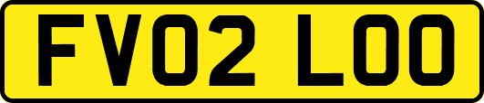 FV02LOO