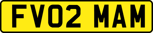 FV02MAM