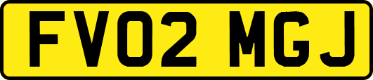 FV02MGJ