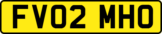 FV02MHO
