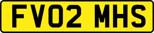 FV02MHS